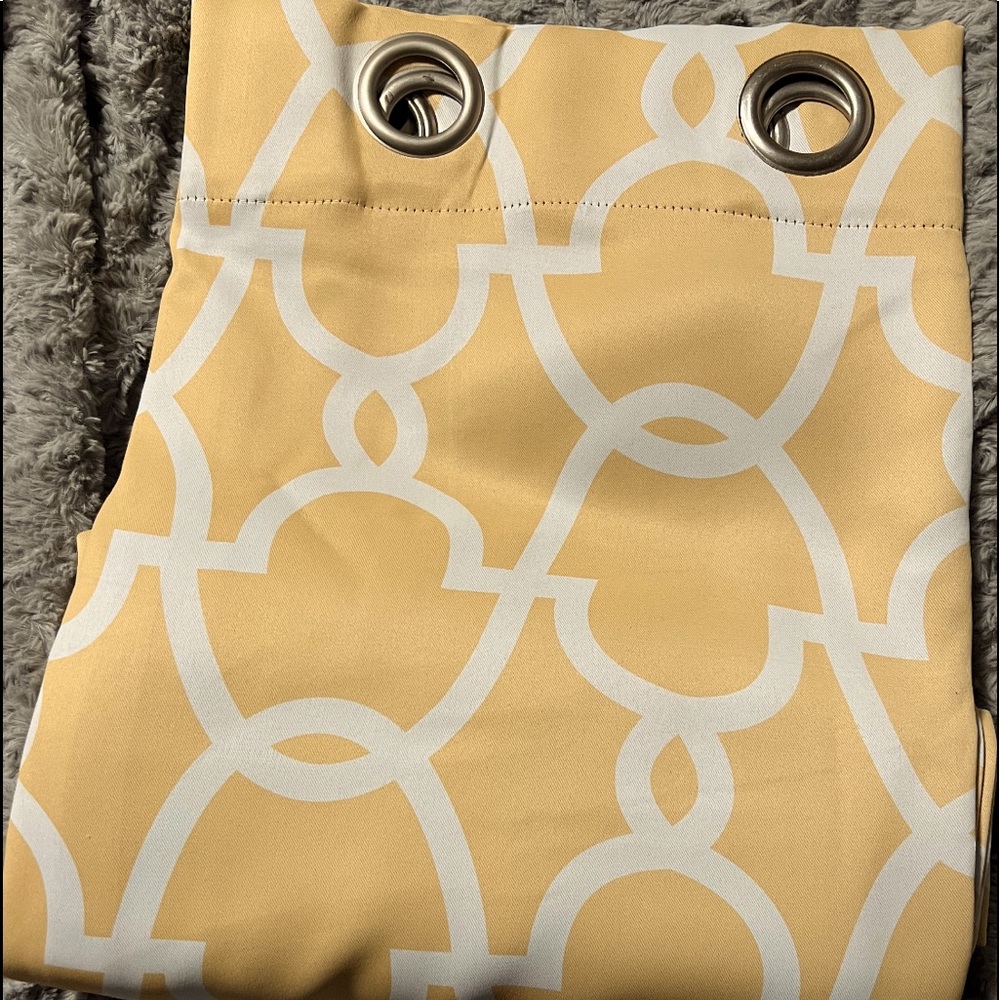 2 Curtain Panels